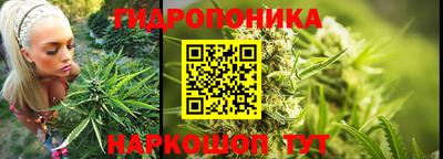 скорость Гусь-Хрустальный