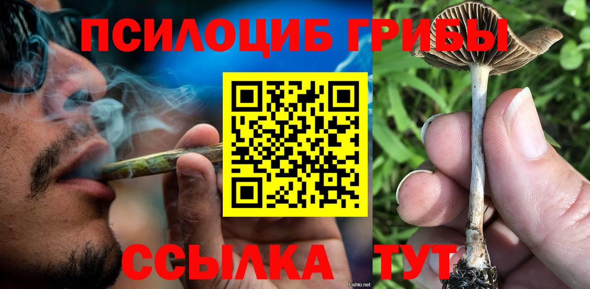 Люберцы  как найти   Вход с VPN  Галлюциногенные грибы Psilocybe 